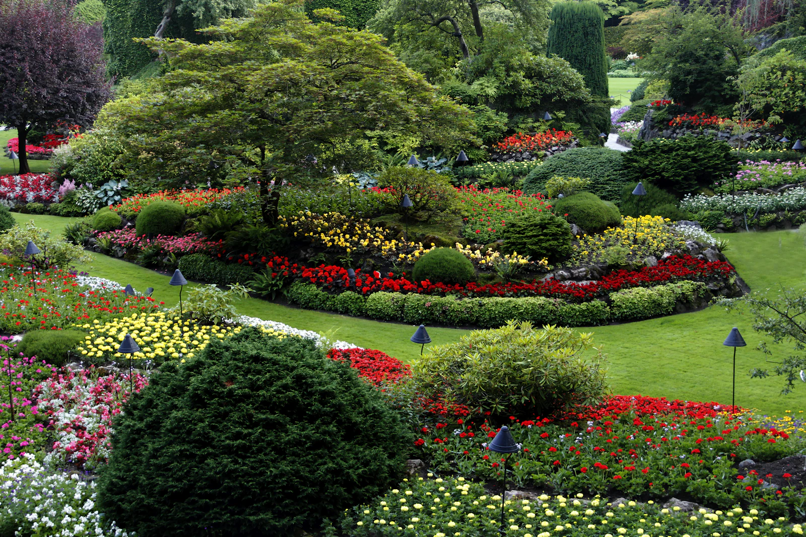 Colourful flower beds and clipped shrubs